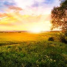 Stunning pic of good morning sunrise. 20 Sunrise Quotes Sayings About The Start Of A New Day