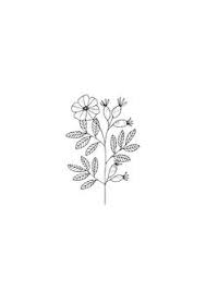Black And White Plants Aesthetic Illustration By Ryn Frank Www Rynfrank Co Uk Flower Drawing Aesthetic Drawing Small Flower Drawings