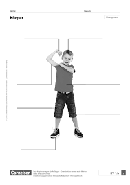 Daz Korper Grundschule Arbeitsblatt Grundschule Arbeitsblatter Arbeit