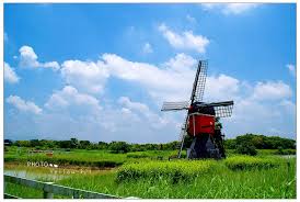 在荷蘭風車旁 看見安享天年的老牛 德元埤荷蘭村 老牛的家 台南柳營 阿春仔in台南 台南旅遊攻略 景點 民宿 美食 水果 痞客邦