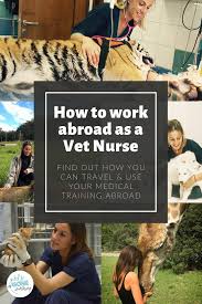 Take Your Passion For Animals Abroad As A Travel Vet Nurse In 2020 Work Abroad Jobs In Thailand Abroad