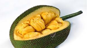 Different types of jackfruit in kerala in malayalam. Jackfruit To Be Kerala S State Fruit Declaration On March 21 India News The Indian Express