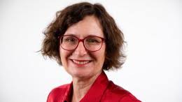 Assembly for peace: a digital handbook