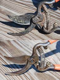 Pruning Shears Sharpen And Clean Garden Tools Pruning Shears Pruners