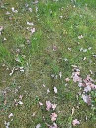 Image result for site:byggahus.se Algomin