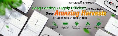 Spider farmer sf 4000 led grow light review. Spider Farmer Led Grow Light With Chips Lm301b Meanwell Driver Growpackage Com