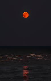 Moon pictures fantasy landscape moon photography nature images galaxy art moon art pictures romantic wallpaper romantic nature. Moon Wallpapers Free Hd Download 500 Hq Unsplash