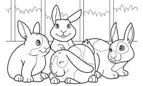 Tampilan aplikasi mewarnai hewan : 26 Gambar Mewarnai Terbaru Untuk Anak Tk Paud Sd Tayo Tobot Dll Penulis Cilik