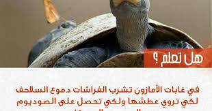 هل تعلم life facts knowledge arabic quotes