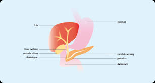 Is there a natural therapy that can cure diabetes? Qu Est Ce Que Le Diabete Ameli Fr Assure