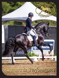 Dressage Extensions Catalog 168 By Dressage Extensions Issuu