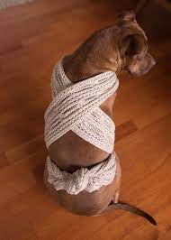 How To Make A Diy Anxiety Wrap To Calm A Nervous Dog Bark Post