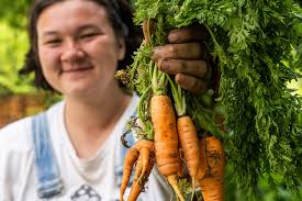 Nonprofit Spotlight: Slice 325