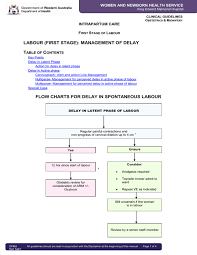 Image result for Active Management of Labor