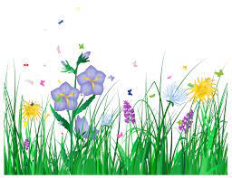 Grass Border No Background Clipart Panda Free Clipart Images Dvac8l Clipart Png 1200 926 Flower Drawing Design Butterfly Clip Art Free Flower Clipart