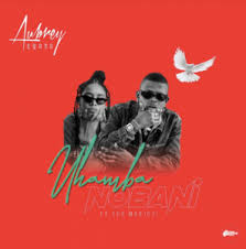Download Video Aubrey Qwana Uhamba Nobani Ft Sho Madjozi Zamusic