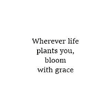 Full list 219 unique cool quotes for instagram bio 2021. Start Where You Are With What You Have And Start From There Decide To Improve Decide To Be Happy Decide To Love Yo Quotes Inspirational Quotes Words Of Wisdom