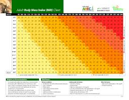 Personal Fitness Merit Badge Bmi Chart 12 Weeks Of