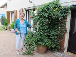 Jardins Montvillers Fleurissement Adapei De La Meuse