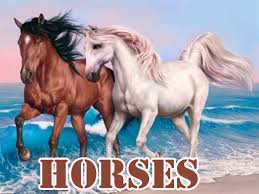 There are 282 horse games on 4j.com, such as rarity and applejack, my little pony winter fashion 3 and enchanted unicorn spa. Horses Html5 Games Online Play Free Fun Horse Animals Game