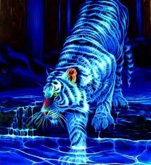 Cool Tiger Iphone Wallpaper Photo Galleries And Wallpapers Tiger Art Big Cats Art Animal Wallpaper
