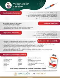 Se desconoce el estado de los pacientes. Registro De Vacunacion Docente Fesc