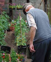 Planning And Landscaping Your Garden For Your Elderly Senior Years In Harrow Hillingdon Harrow Hillingdon Landscape Gardeners