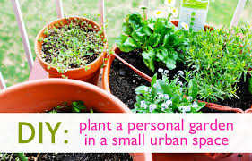 You can actually prune certain types of fruit trees to grow against a wall, a process called espalier. Diy How To Plant A Personal Garden In A Small Urban Space