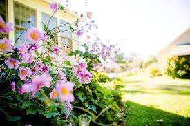 Eliminating weeds in your garden. 15 Homemade Organic Weed Killers How To Kill Weeds Naturally