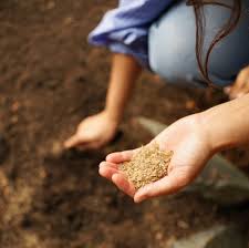 Same day to la, ny, nj. Zero Waste Flower Studio Vancouver Flower Delivery