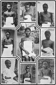 Hesaplamaların bizzat belçika hükümet komisyonu'nun 1919 yıllarındaki çalışmalarıyla örtüş mesi de cabası. Belcika Somurgeciligi Altinda Kongo Katliamlari Vikipedi