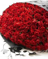 Never Before Have I Seen So Many Roses In One Bouquet Beautiful Red Roses Red Roses Beautiful Roses
