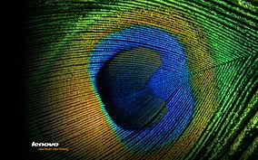 ❤ get the best rappers wallpapers on wallpaperset. Lenovo Wallpapers Pc Doctor Ardee Lenovo Yoga 1920x1200 Download Hd Wallpaper Wallpapertip