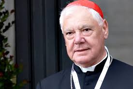 Cardinal Müller Rebukes Belgian Mayor, Says Politics Is About 'Dignity of  Man in the Image of God'| National Catholic Register