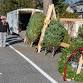 Christmas Tree Sales St Mary Newmarket NH 2025 event image