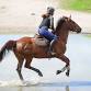 8B – YH Equestrian Confidence Camp event image