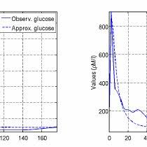 Pdf Mp Modelling Of Glucose Insulin Interactions In The Intravenous Glucose Tolerance Test