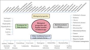 Image result for Salacia leptoclada