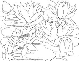 We did not find results for: Happy Family Art Original And Fun Coloring Pages Coloring Book Art Flower Coloring Pages Water Lily Drawing