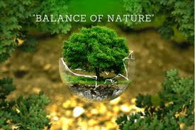 Balance Of Nature Definition Of Balance Of Nature Environmental Balance