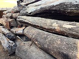 If you know other construction lumbers and their prices not listed below, please i have lumber cut 6x 6x 14' acacia black how much is the cost per board feet. Rosewood Logs Cut Sizes Planks Harsha Timbers Bangalore