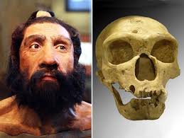 Human-Neanderthal Gene Variance is Involved in Autism