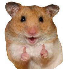 Cute hamster png transparent image resolution: Freetoedit Likerhamster Hamster Like Nine Meme Remixit Pegatinas Bonitas Stickers Cool Pegatinas Kawaii