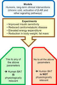 Image result for Beige 1983 Caloric
