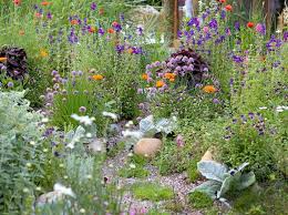 We did not find results for: 20 Best Perennial Plants Bbc Gardeners World Magazine