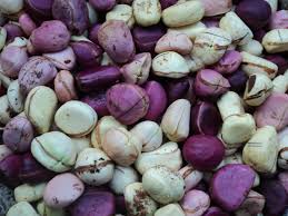 Obi Abata Kola Nuts Chief Yagbe Awolowo Onilu