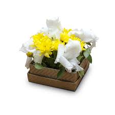 We did not find results for: Tcs Sentiments Express Gift Flower And Cake Delivery Service Tcs Sentimentsexpress