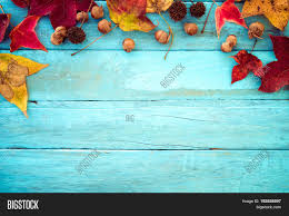Autumn, fall leaves border seamless pattern concept design for seasonal, thanksgiving. Beautiful Maple Leaves Image Photo Free Trial Bigstock