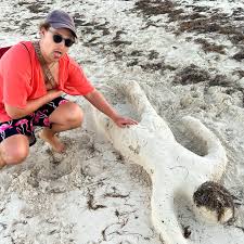 Except it's distorted house music instead 🤣 ~ ~ ~ #memecut #clubbing  #feverdream