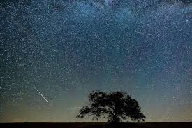 Best Images From This Year S Perseid Meteor Shower Engagement Photos Country Perseid Meteor Shower Meteor Shower